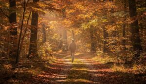 Laut Studie 2026: Wer oft in der Natur spaziert, entwickelt diese mentale Stärke